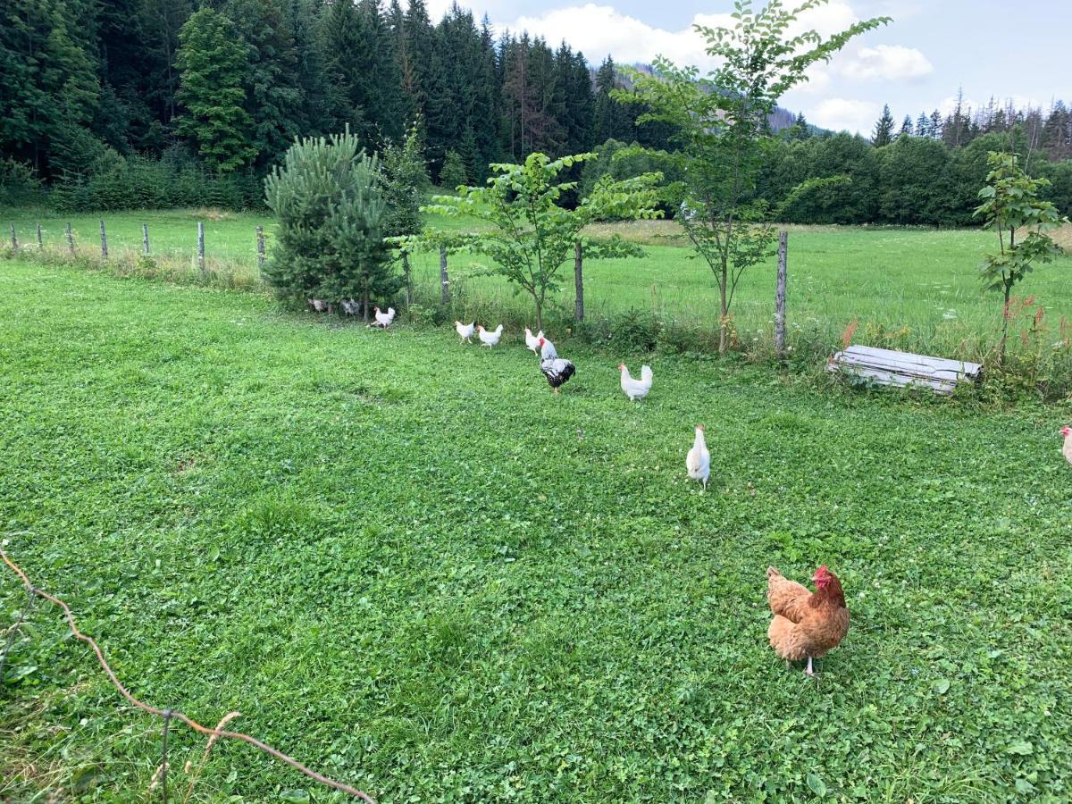 Dom Wypoczynkowy I Apartamenty "Nabucco" Z Widokiem Na Giewont I Gory Zakopane Eksteriør bilde