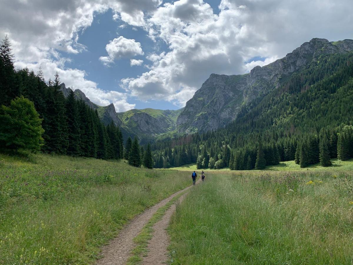 Dom Wypoczynkowy I Apartamenty "Nabucco" Z Widokiem Na Giewont I Gory Zakopane Eksteriør bilde