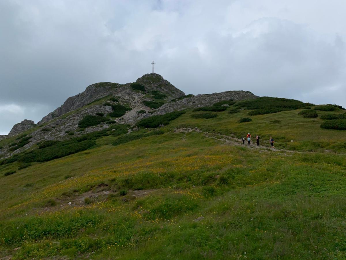 Dom Wypoczynkowy I Apartamenty "Nabucco" Z Widokiem Na Giewont I Gory Zakopane Eksteriør bilde