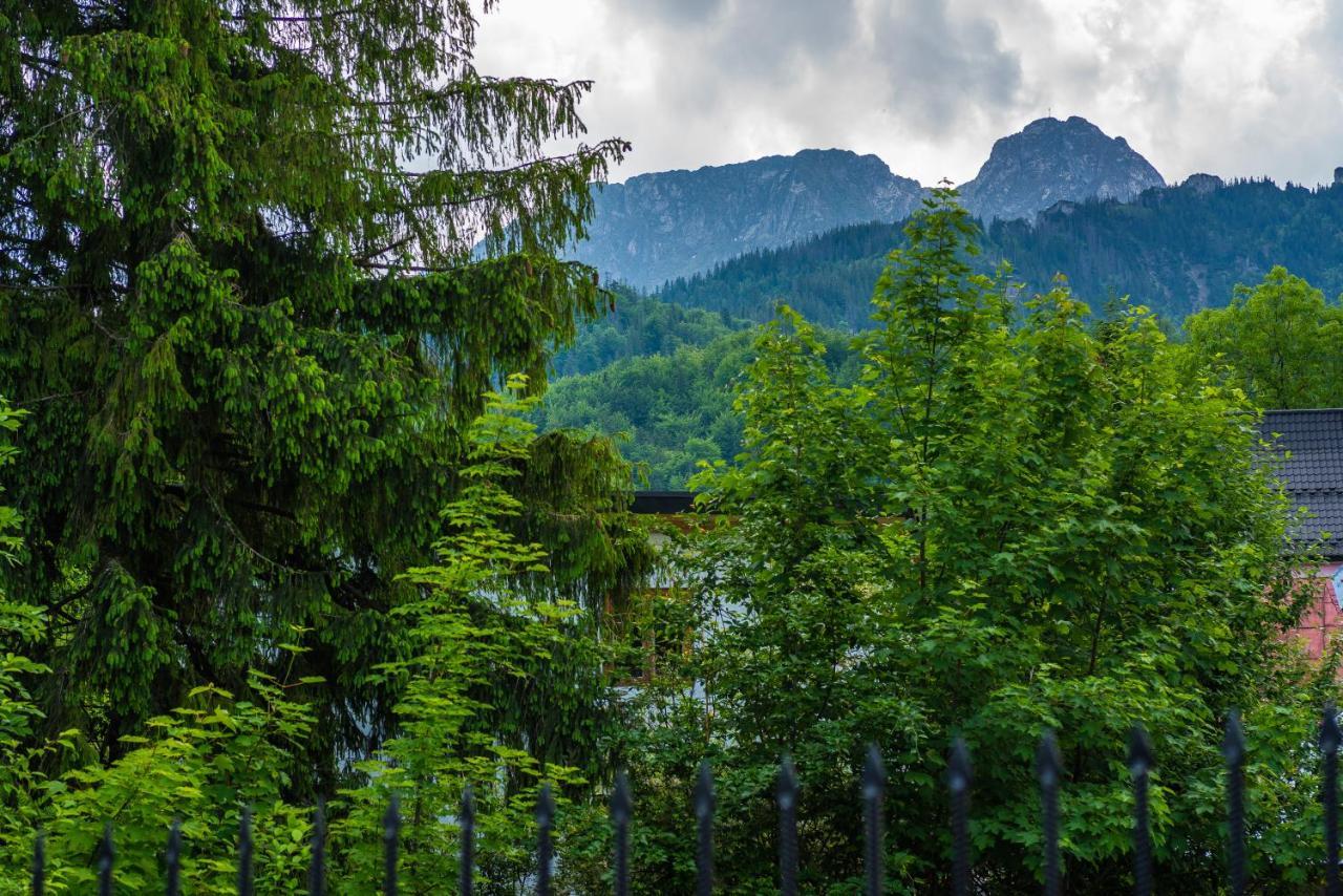 Dom Wypoczynkowy I Apartamenty "Nabucco" Z Widokiem Na Giewont I Gory Zakopane Eksteriør bilde